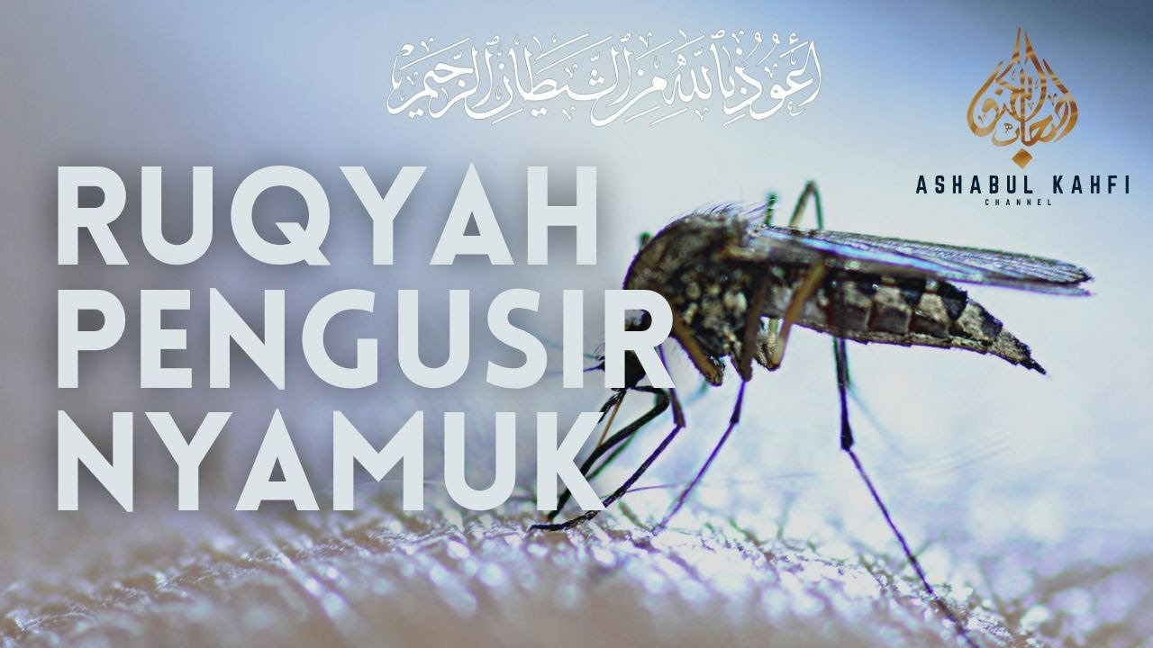 Ayat Pengusir Nyamuk Di Dalam Rumah Agar Nyamuk Pergi | Pengusir Nyamuk Paling Ampuh