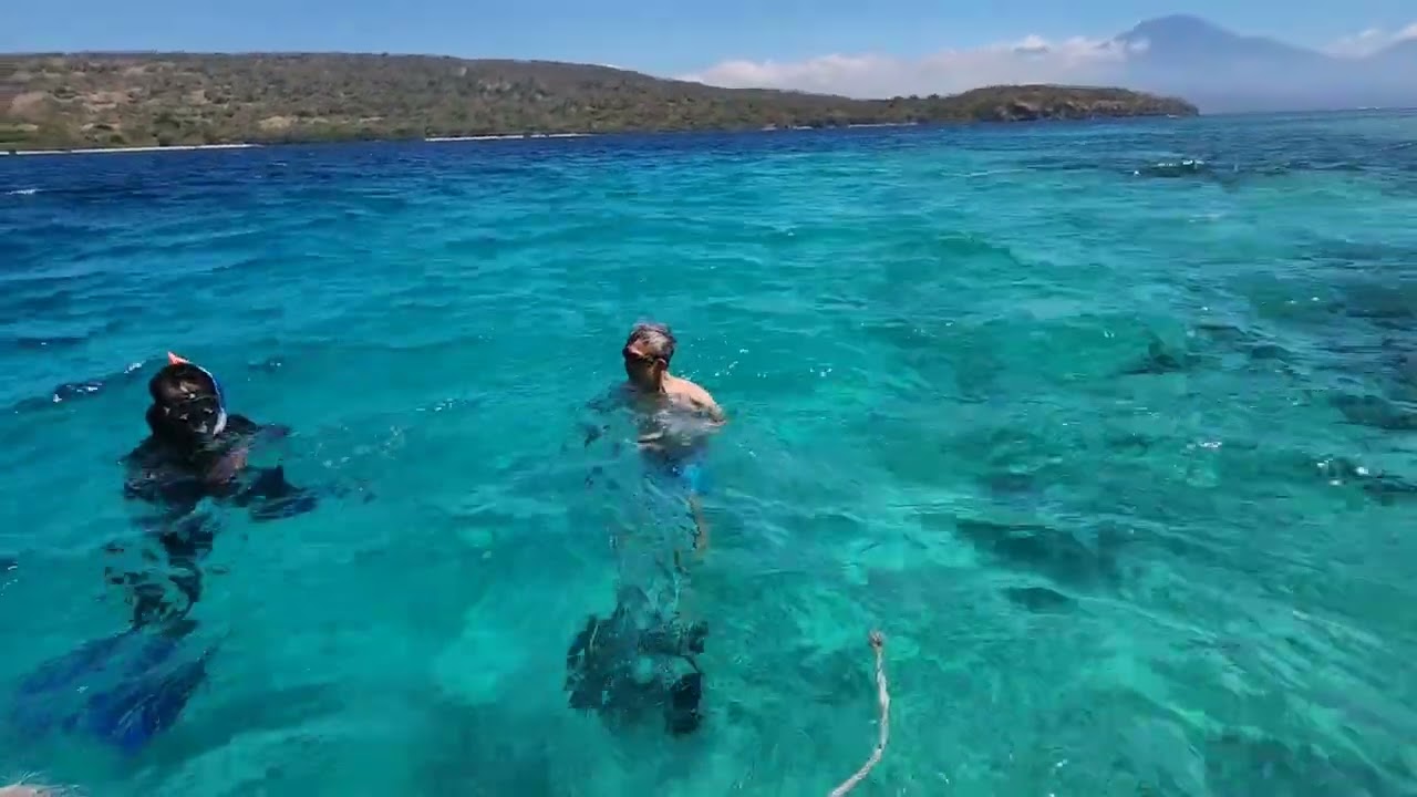Bali Road Trip - Snorkeling at Menjangan Island - Menjangan Dynasty Resort Bali
