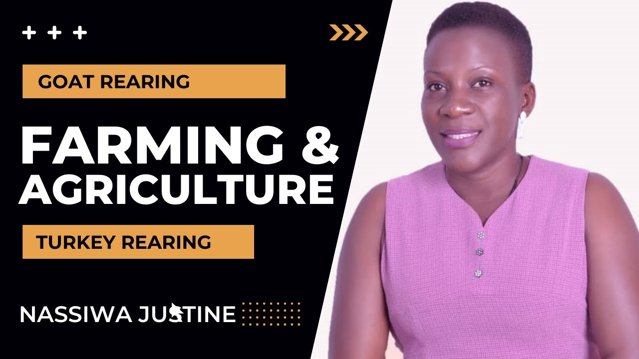 Farming & Agriculture, Goat and Turkey Rearing. Buzibwera Charity Green Acres Farm. Nassiwa Justin