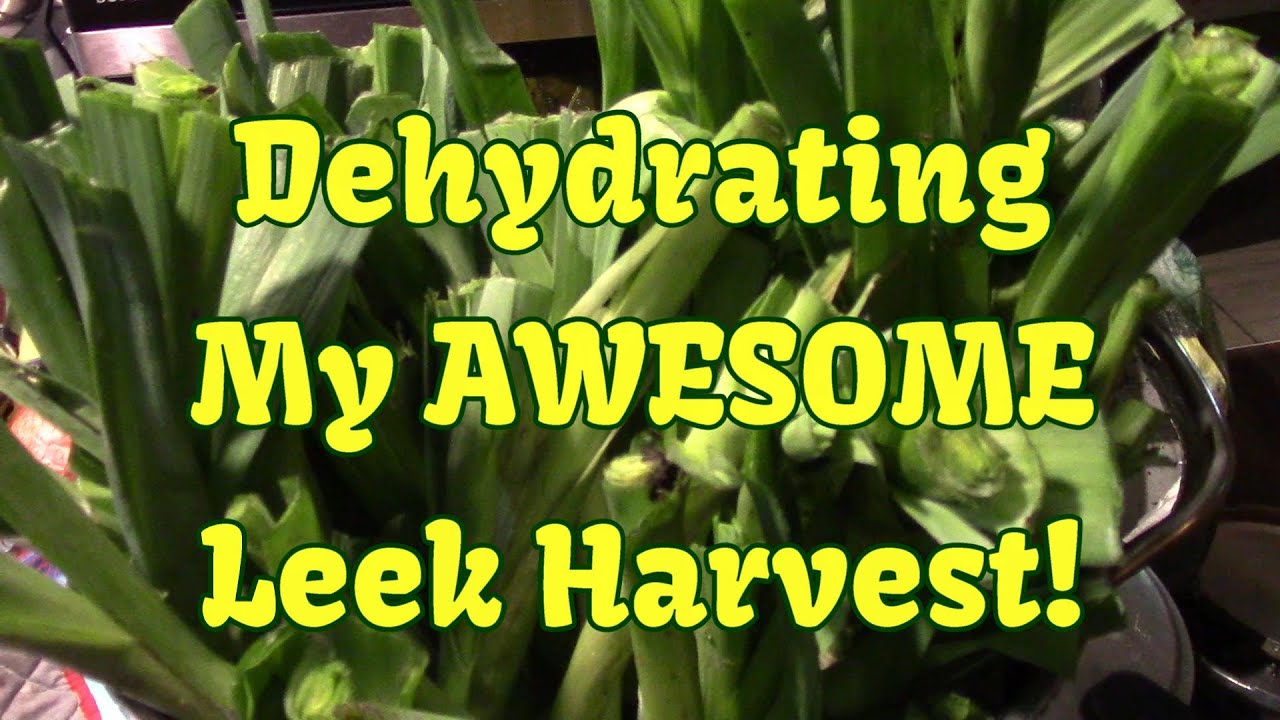 Dehydrating The Leek Harvest~!