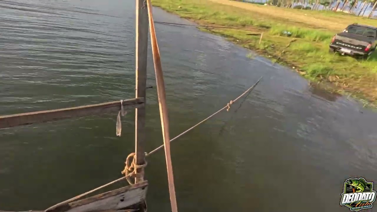 Pesca de lambari em Guaraci SP !