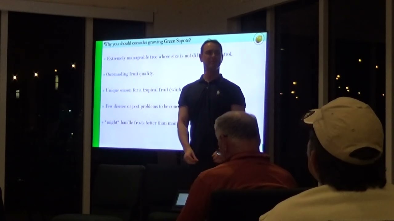 Доклад Алекса Салазара о сапоте Green Sapote на заседании TCRFC 15 января 2026 года.