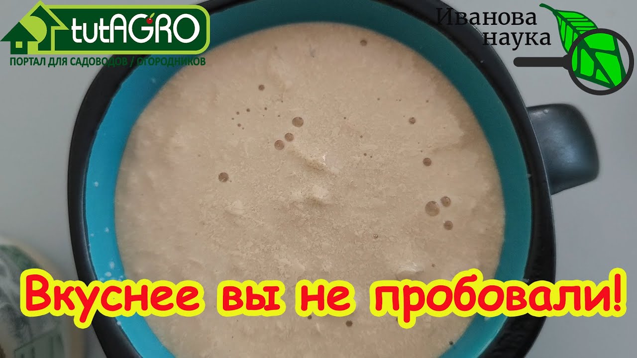 СЛИВОЧНЫЙ ЙОГУРТ НА РЕУТЕРИ! Вкуснее вы еще не пробовали. 100 % натуральный продукт без добавок.