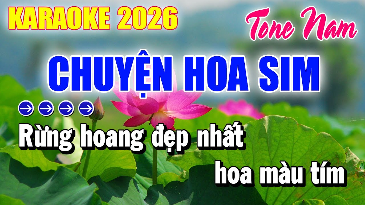 Karaoke Chuyện Hoa Sim Tone Nam | Karaoke Mới Nhất | Karaoke Duy Beat