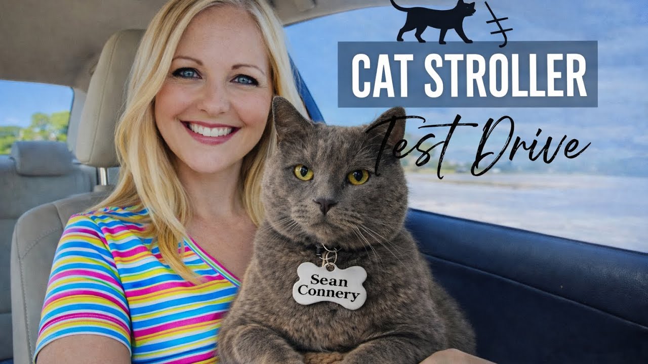 Cat Stroller Test Drive