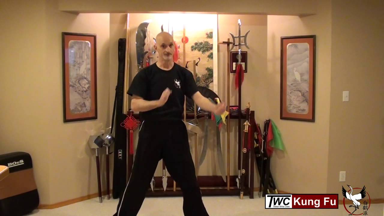 Pak Hok Pai - Basic Fists