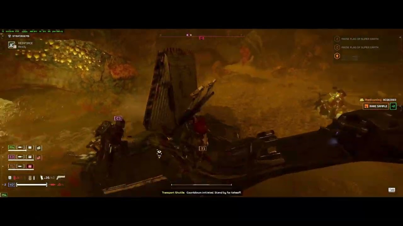 Bye Pelican 1