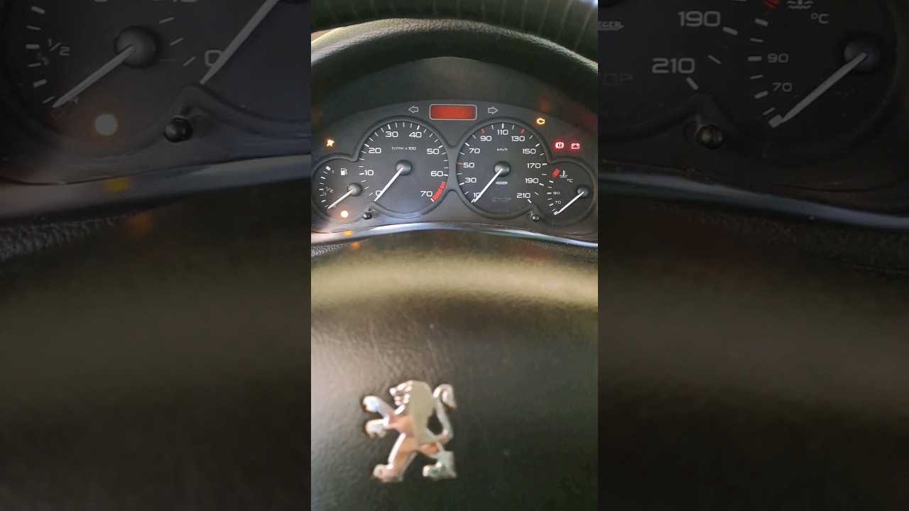 PEUGEOT 206 SW #peugeot206 #peugeot
