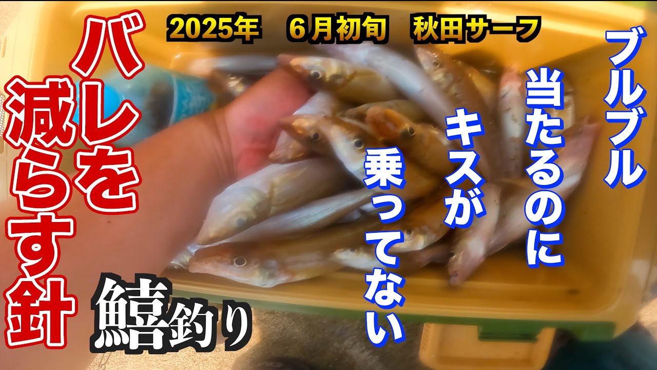 【キス釣り】初心者でもバレを少なくする方法？！