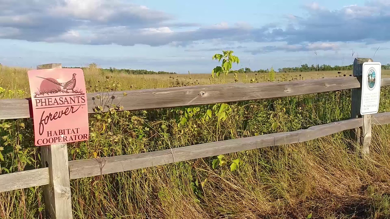 Habitat & Access: Minnesota's Veterans Wildlife Management Area