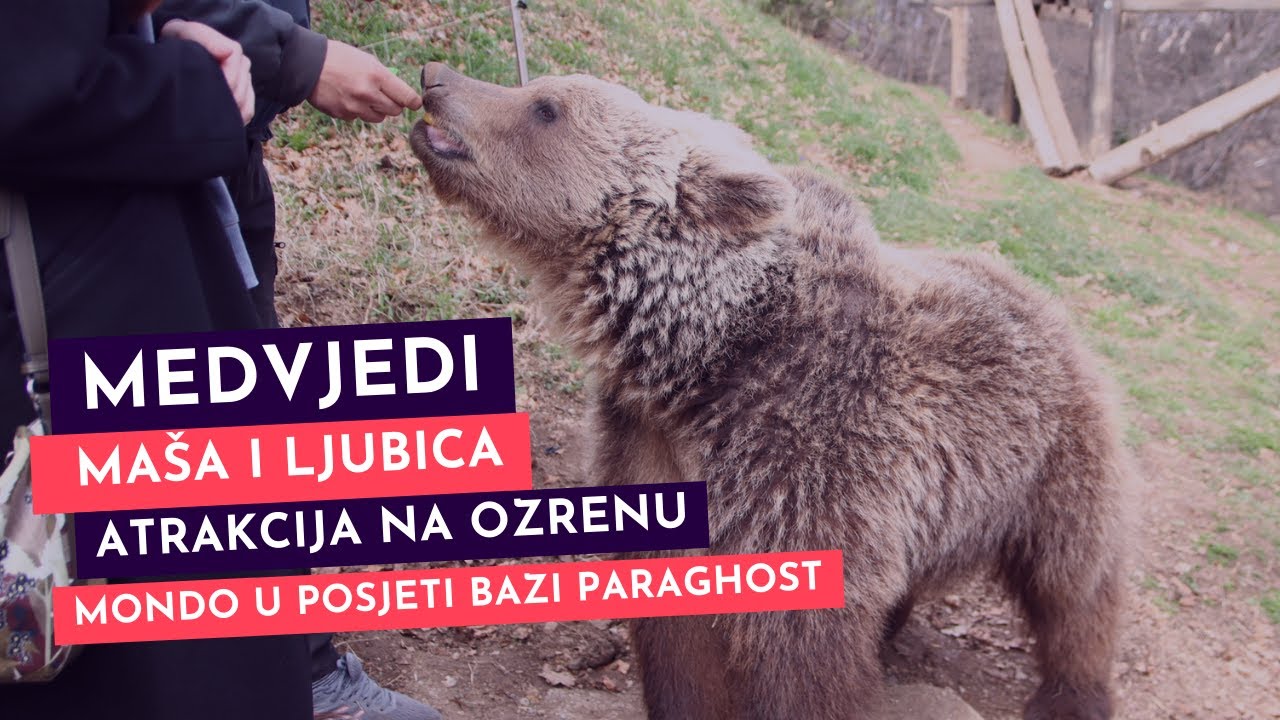 Medvjedi Maša i Ljubica atrakcija na Ozrenu: MONDO u posjeti Bazi Paraghost