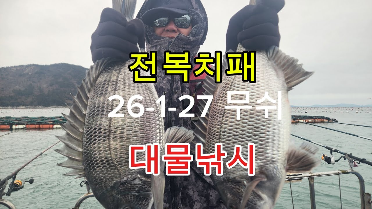 완도선상 #전복치페 #대물감성돔 