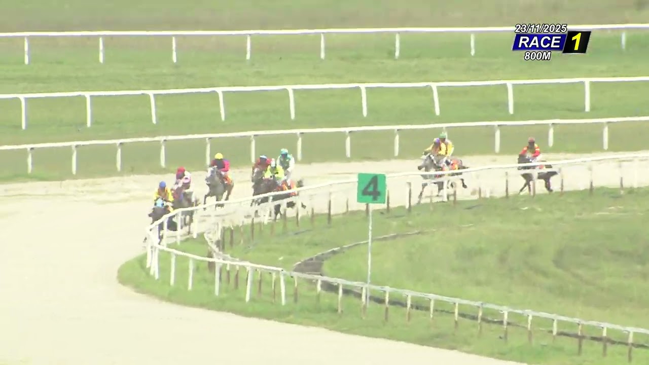231125 Race 1 Restricted Progress 800M