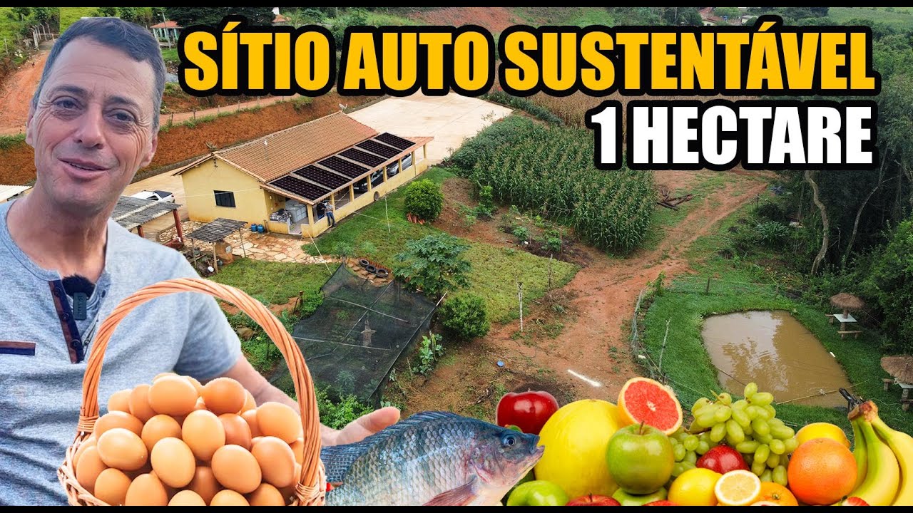 ELES PRODUZEM COMIDA INFINITA EM PEQUENO SÍTIO @Vida boa na roça com Valdeir