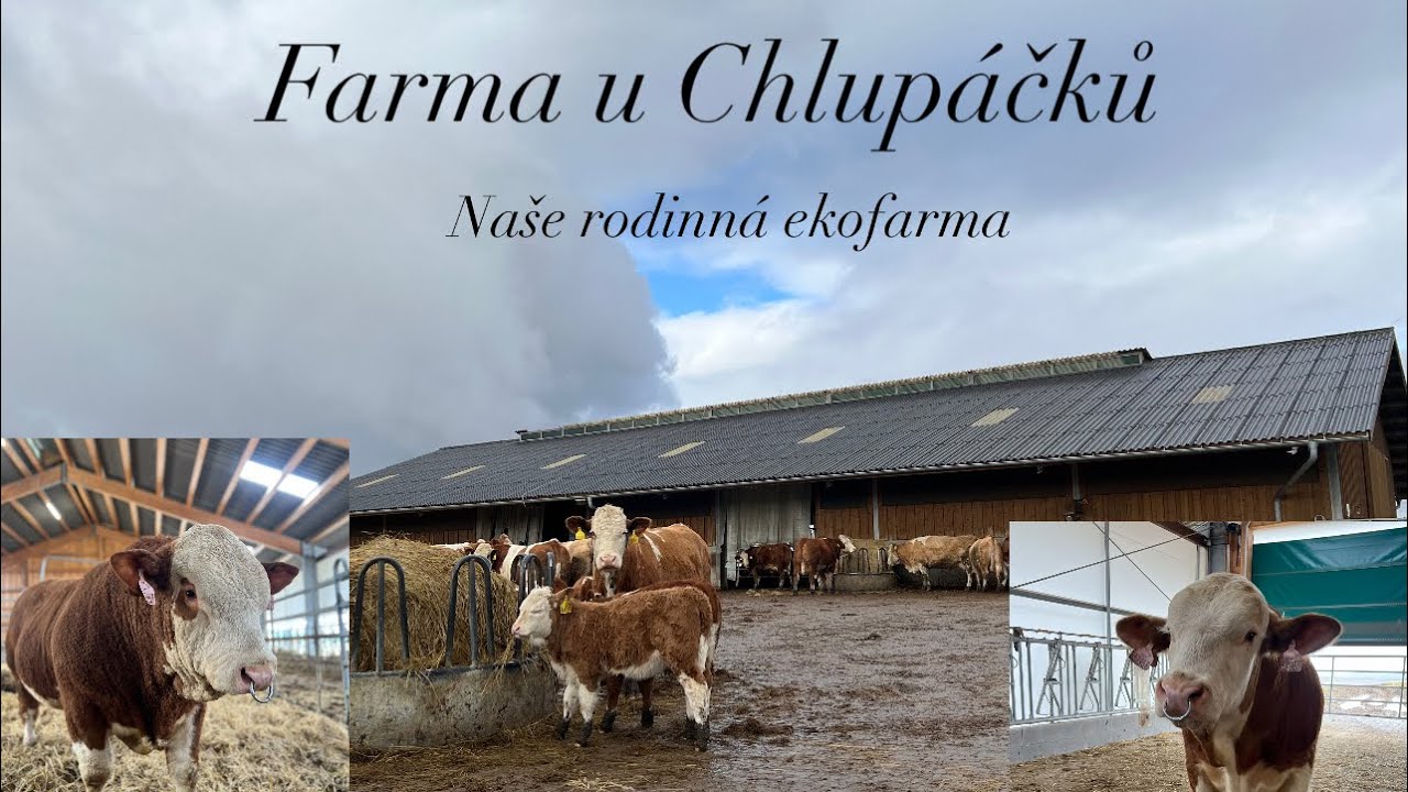 Farma u Chlupáčků / Představím vám naší rodinnou ekofarmu 🐮
