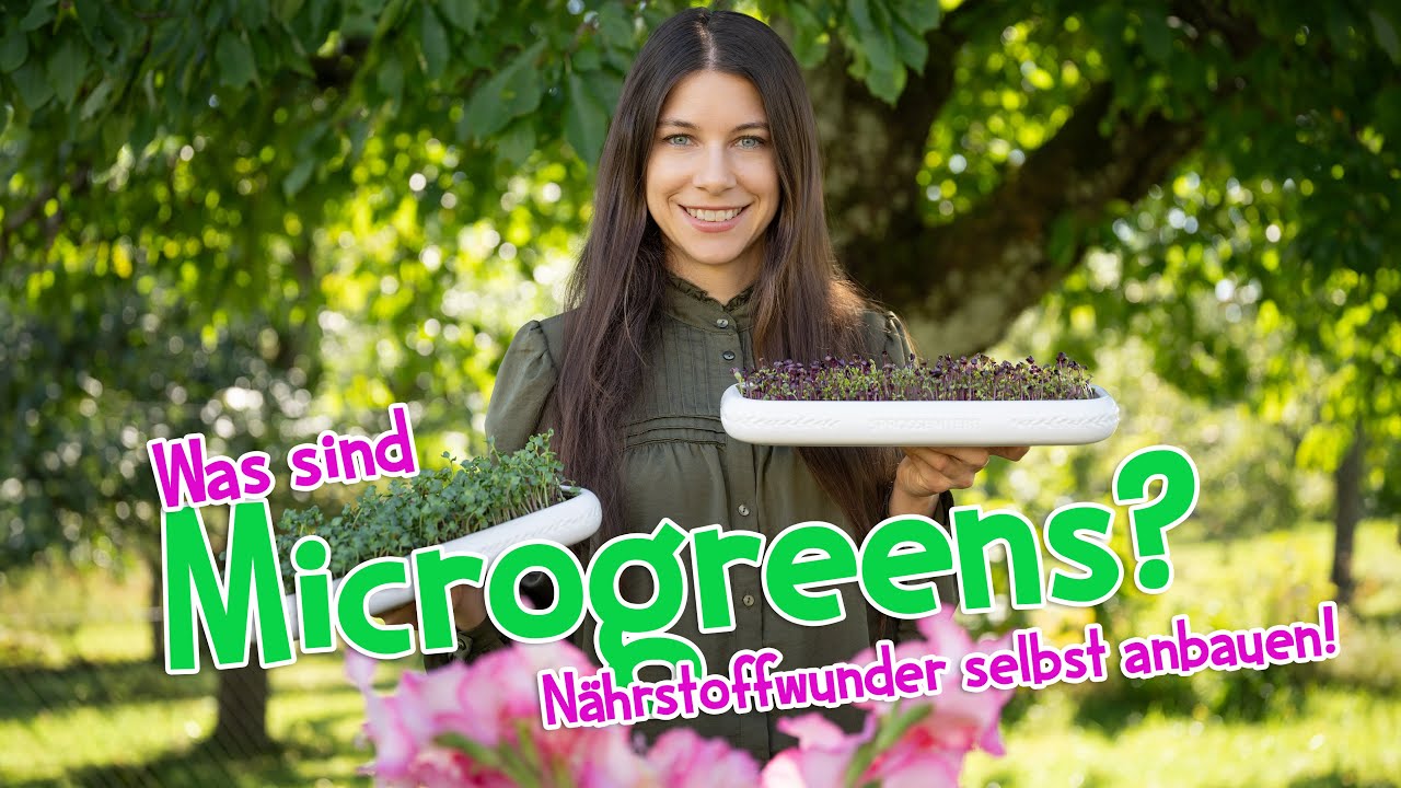 Was sind Microgreens? 🌱 N&auml;hrstoffwunder einfach selbst anbauen! #microgreens #wildkr&auml;uter #garten