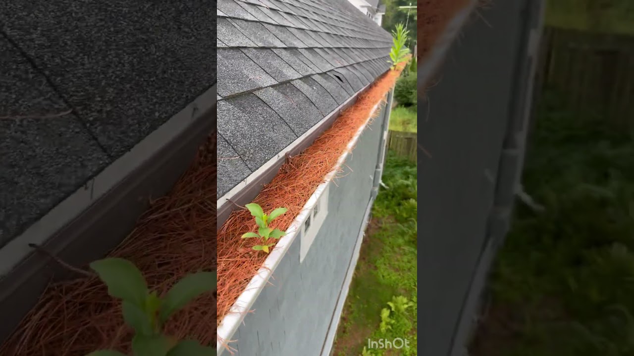 Gutter Cleaning! 