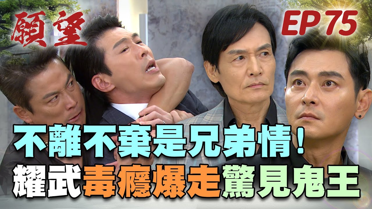 願望 EP75 完整版｜大哥救毒癮弟！耀武戒毒大失控 鬼王出現是幻影？子維求婚冬雨 為病母沖喜！｜Desires｜【十全果醋】