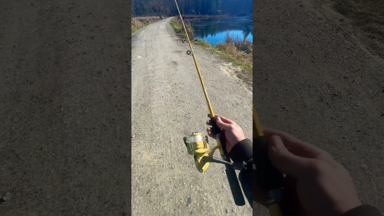 $20 eagle claw telescopic rod and reel COMBO
