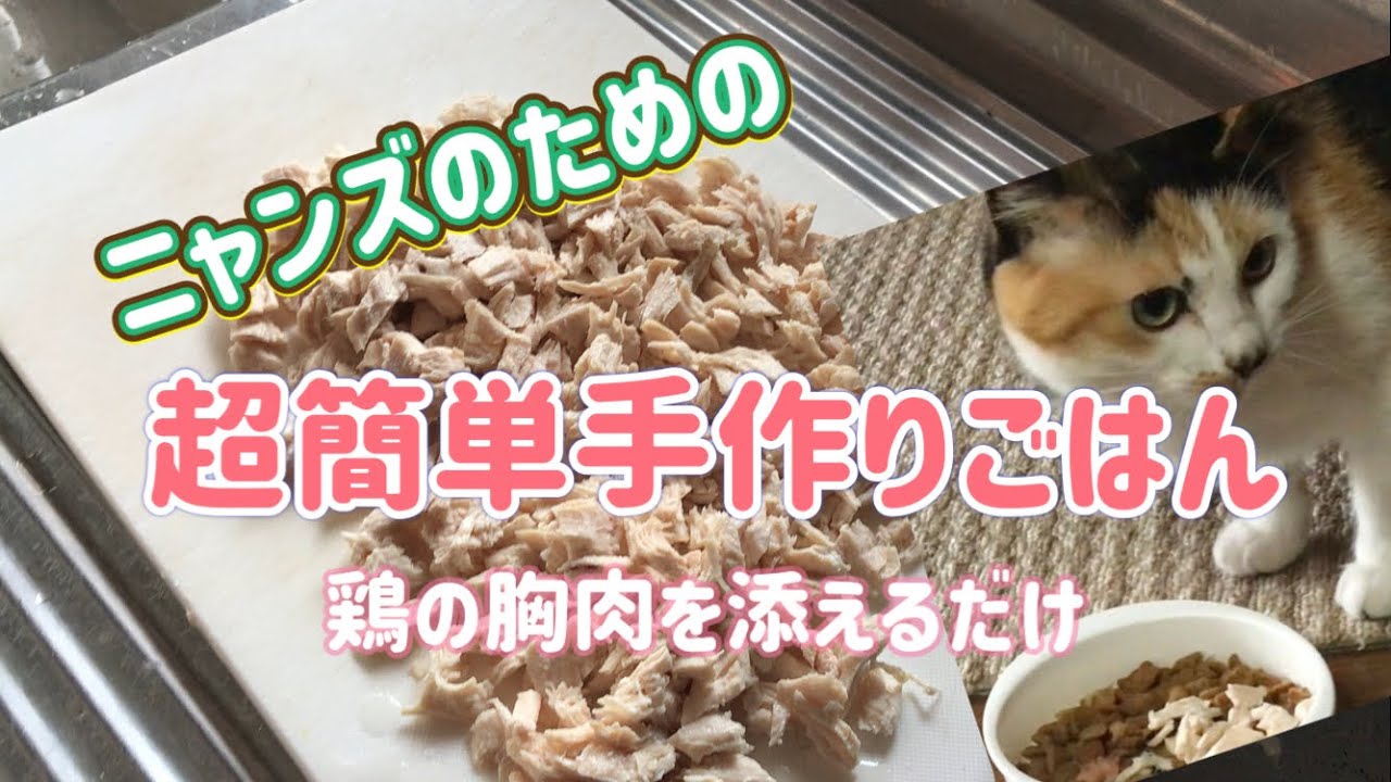 猫のための超簡単手作りごはん　【鶏の胸肉添えるだけ】