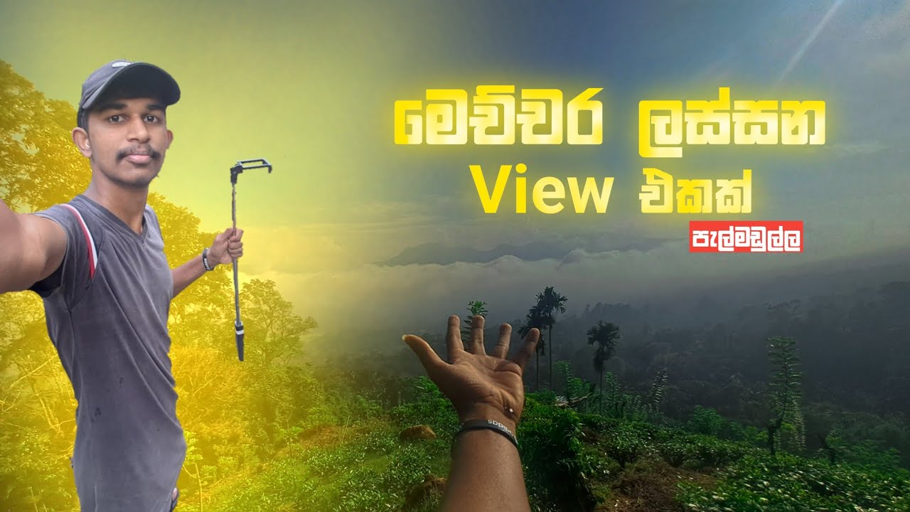ගමේ සැගවුණු ලස්සන නිම්නයක් සොයා | Vlog #02 | Heshan's Vibe | Pelmadulla 