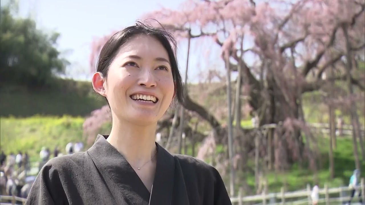 滝桜を描き続ける日本画家