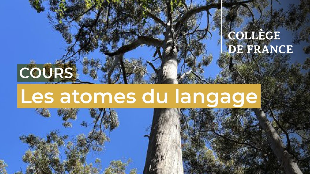 Les atomes du langage : &eacute;l&eacute;ments et op&eacute;rations de base (1) - Luigi Rizzi (2024-2025)