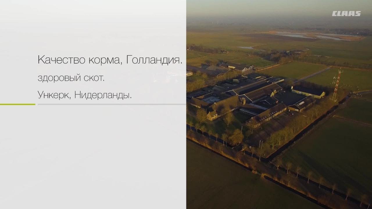 Качество корма, Голландия. Здоровый скот. / 2017