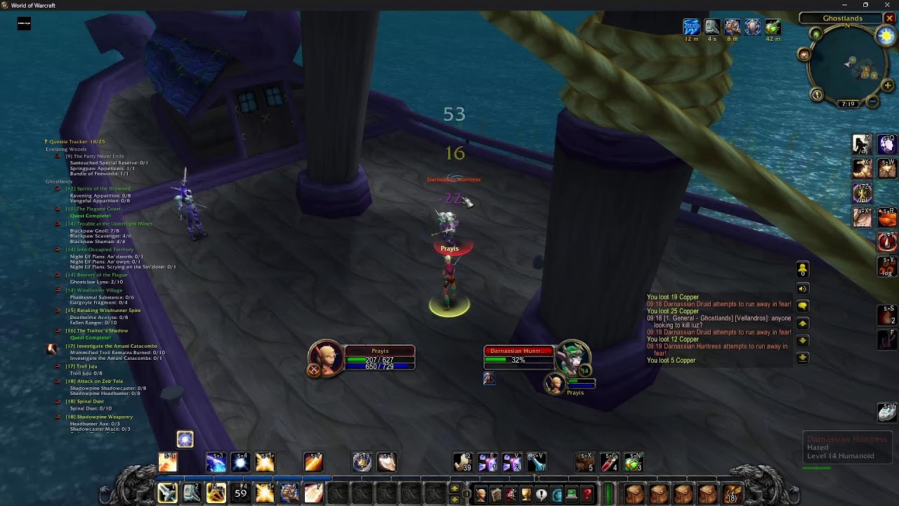 WoW 17- Paladin