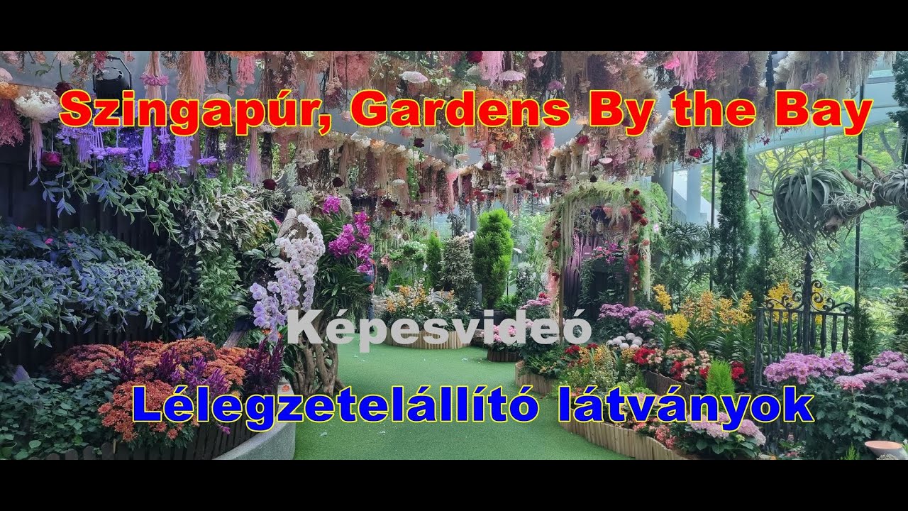 Fantasztikus kert, ahol részese lehetsz a világ növény és virág világának, Gardens By the Bay