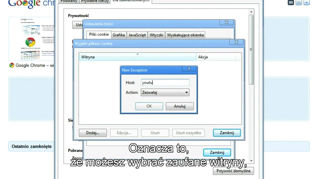 Google Chrome i prywatność - Pliki cookie w przeglądarce