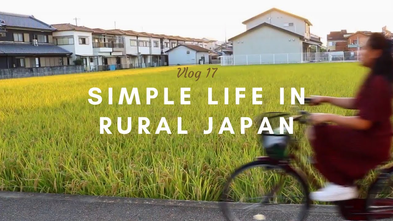 Simple Life in Rural Japan (Home Cooking - Granola, Chicken Stir Fry, and Tacos)