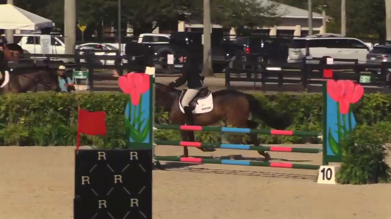 Charlotte Parkes + Cascaria Wellington International Equestrian Festival Winter 2023