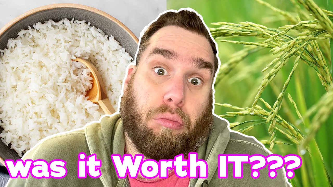 I Tried The RICE DIET for a Year (almost) here are The RESULTS | Plus I have an ANNOUNCEMENT