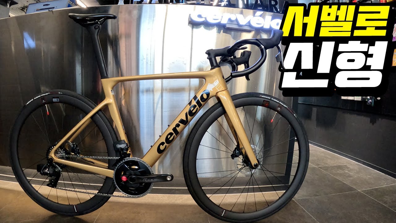 전천후 로드자전거 서벨로 솔로이스트 언박싱 cervelo soloist gold dust color installation and review