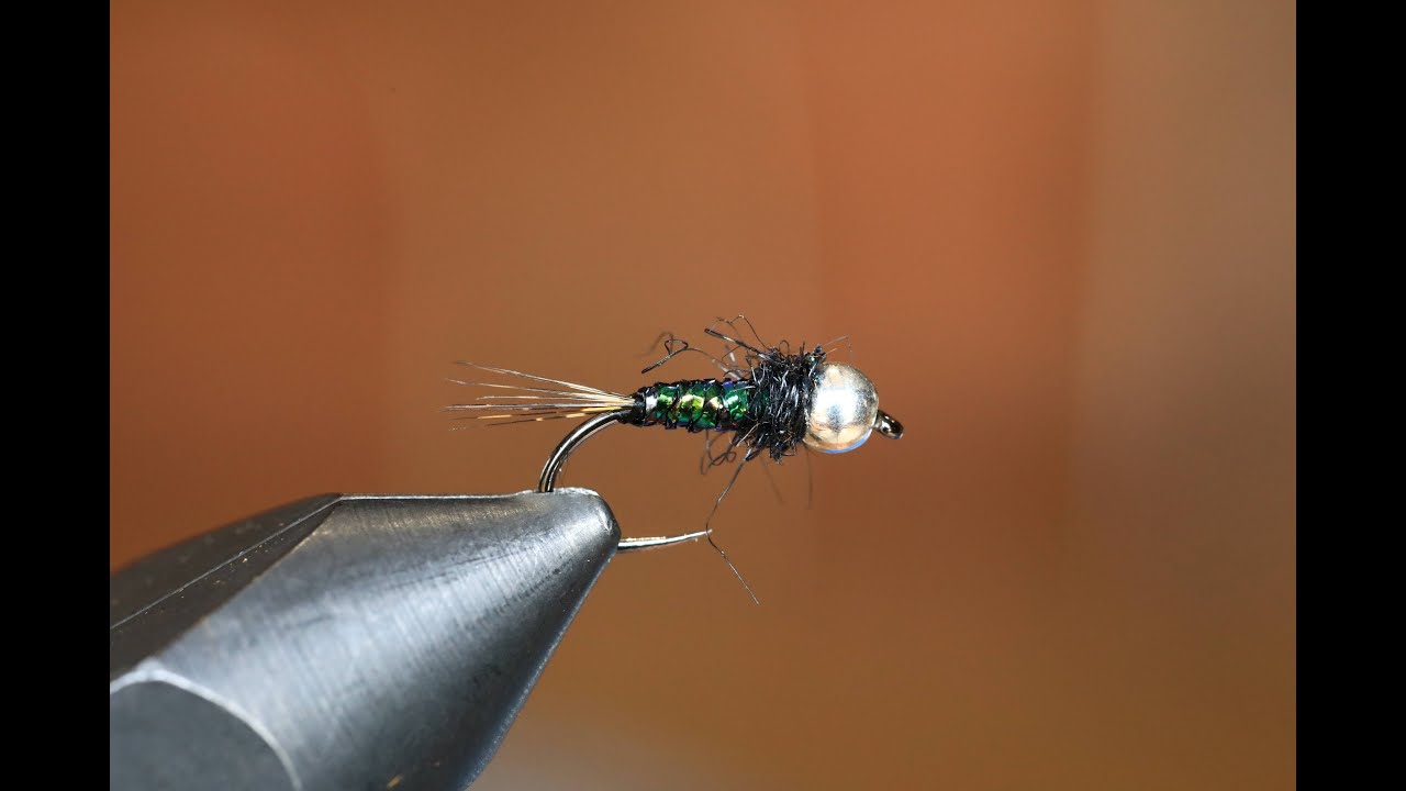 Une nymphe redoutable ! (corps en ribbing band)