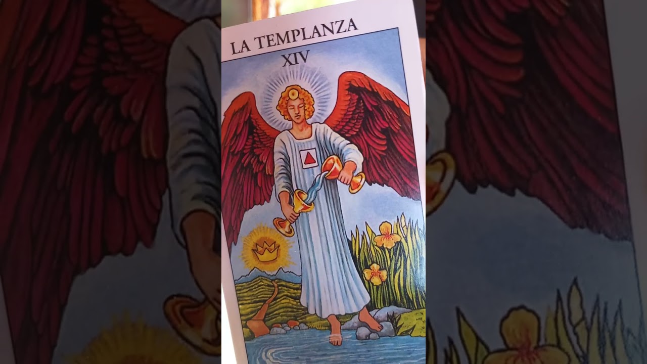 MESAJUL ZILEI⭐️3 variante#tarot 