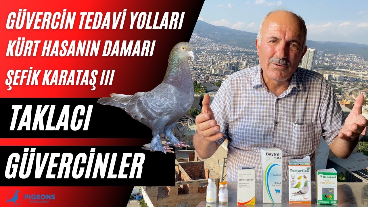 Kümes Temizlerken 6.Katta Düştü ve Dolandırıldı Şefik Karataş III