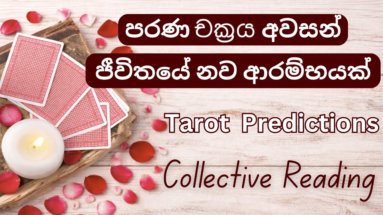 පරණ චක්‍රය අවසන්, ජීවිතයේ නව ආරම්භයක් | Collective Timeless Reading | Tarot Sinhala