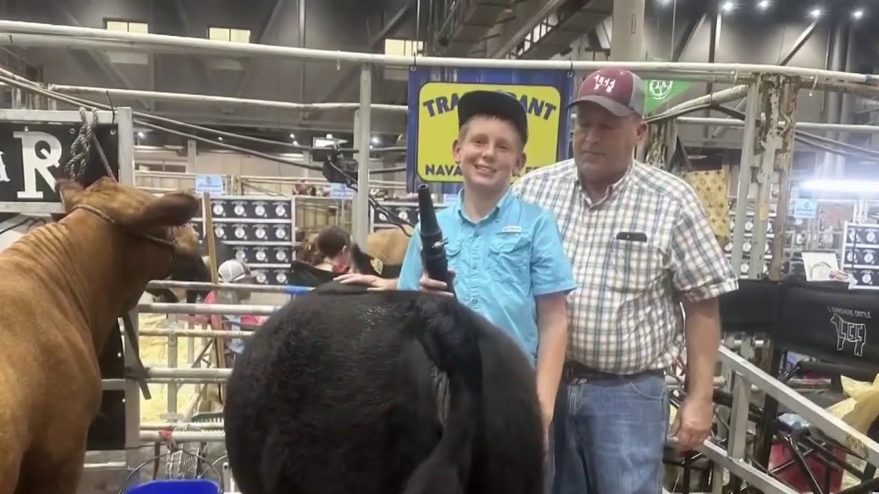 Generations of livestock pride on display at Houston rodeo