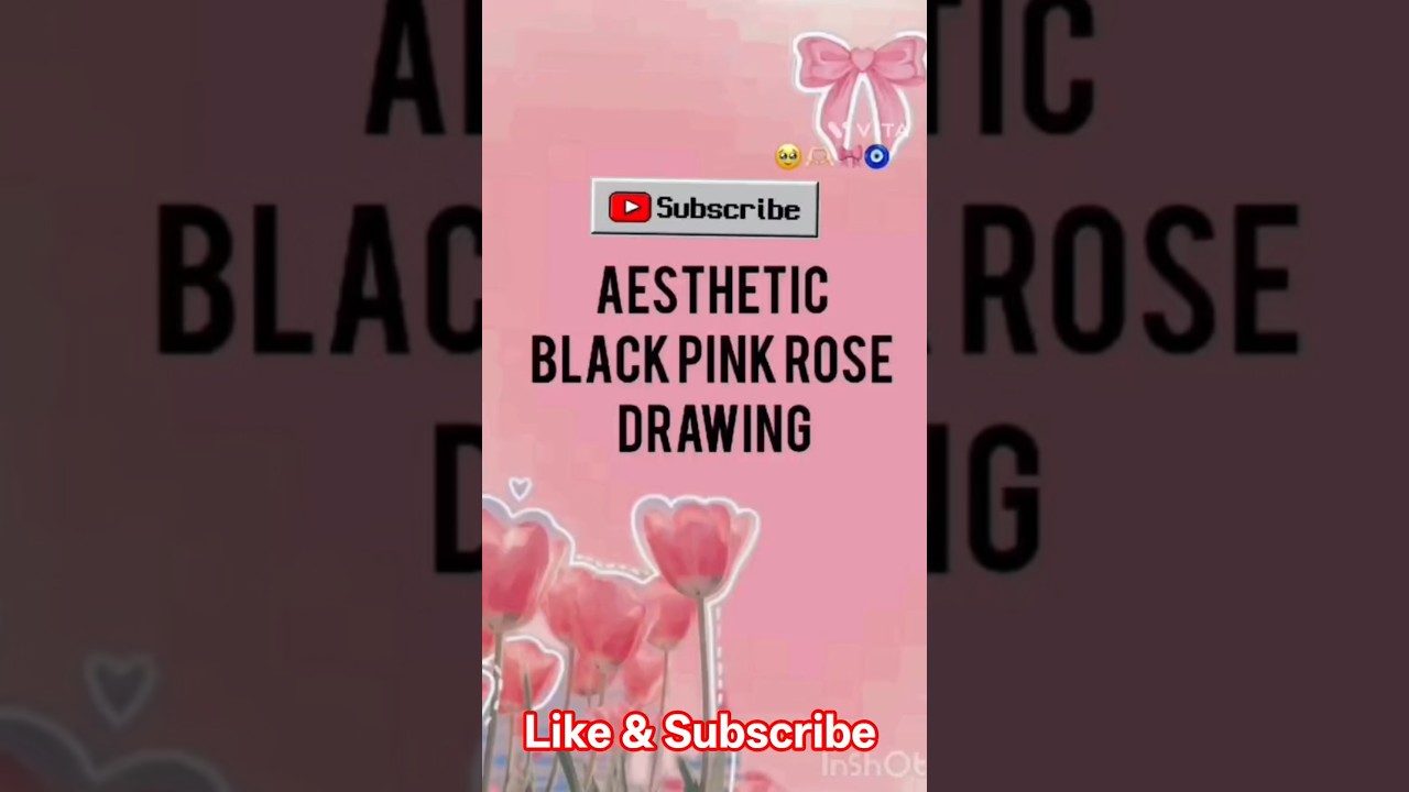 Aesthetic Black pink rose drawing 