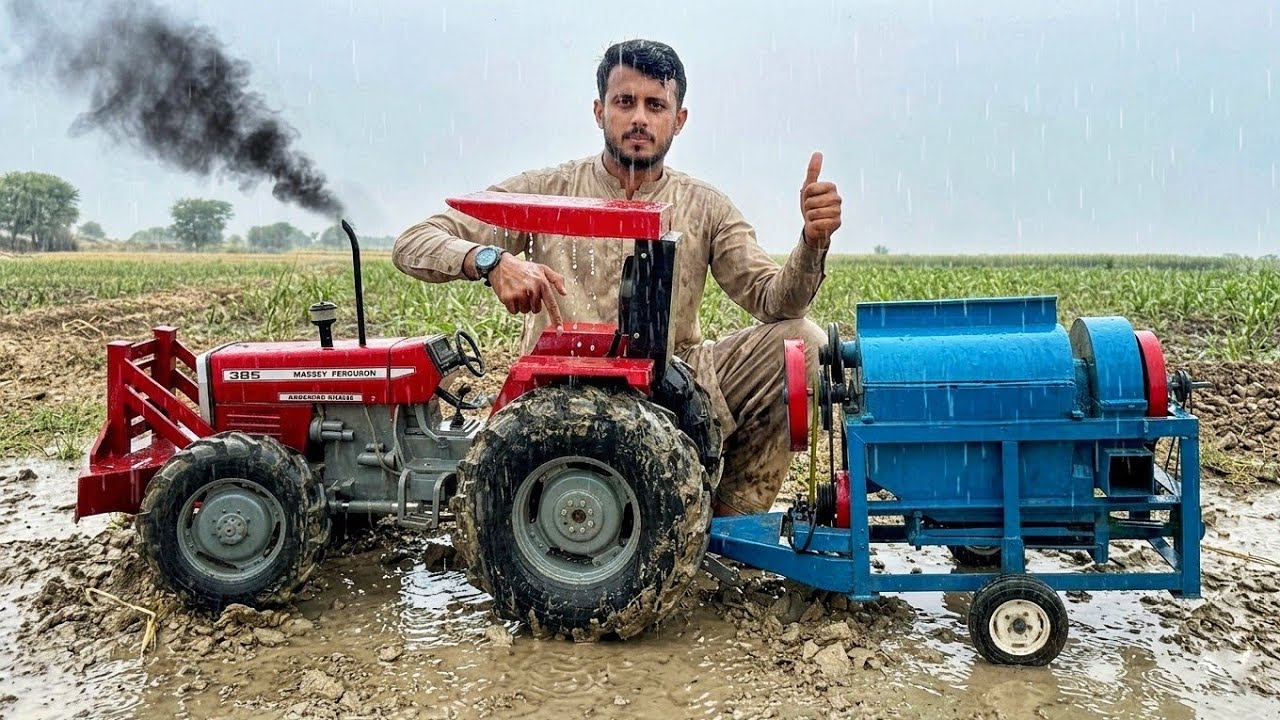 Don't Miss This! Smallest Working MF 385 Tractor & Mini Thresher Machine