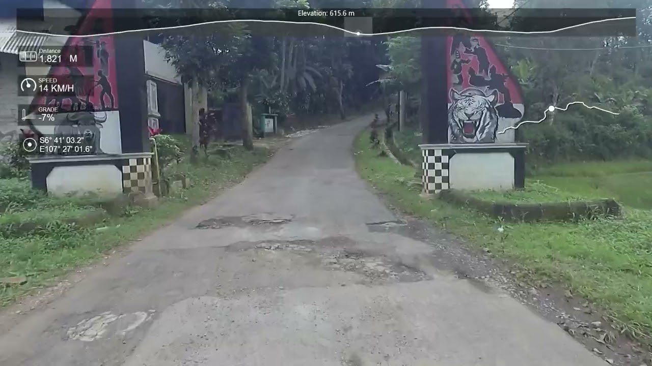 Sawit kaler - Cilingga