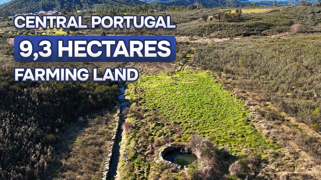 🇵🇹 SOLD |  9.3 hectares Farm Land for Sale in central Portugal