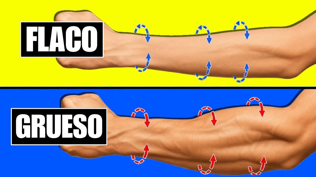 Solo 2 Ejercicios Que OBLIGAN A Tus Antebrazos A EXPLOTAR (Solo 5 Min Por D&iacute;a)