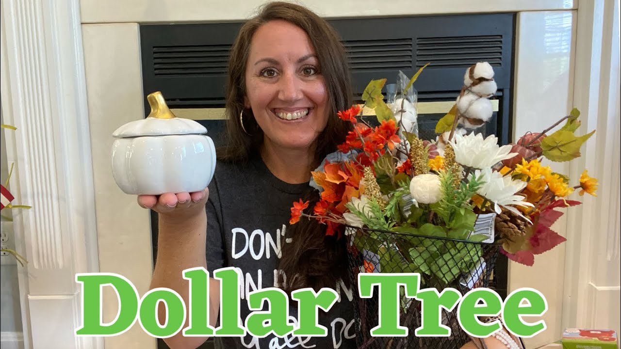 DOLLAR TREE HAUL!