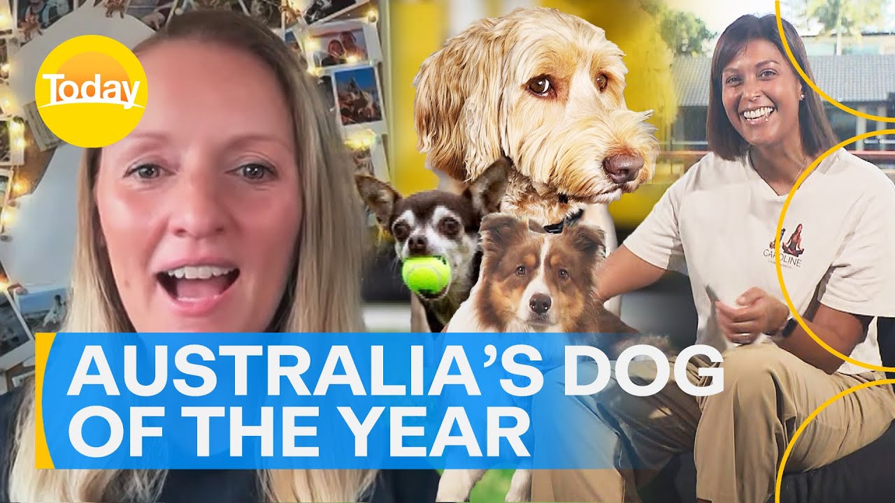 Australia's Dog of the Year crowned on live TV | Today Show Australia