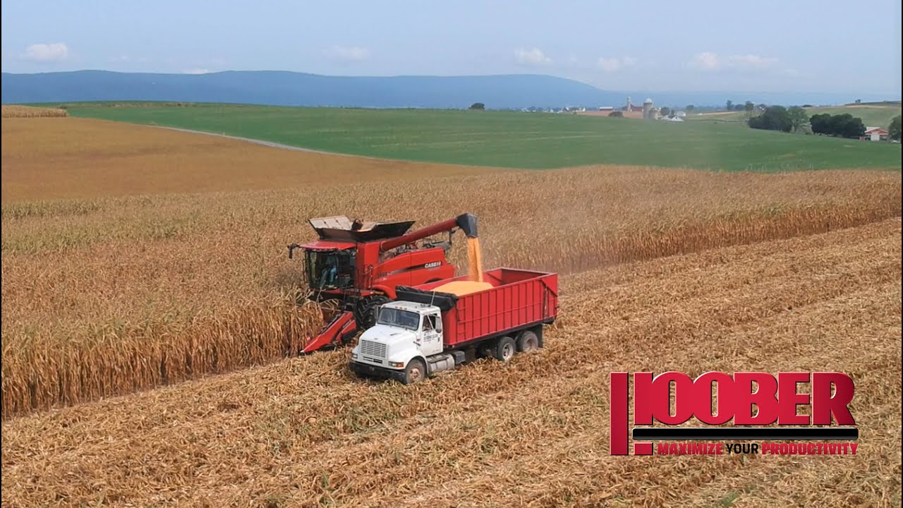 Case IH 5140 Combine Corn Harvest - Steven Glick – Reedsville, PA