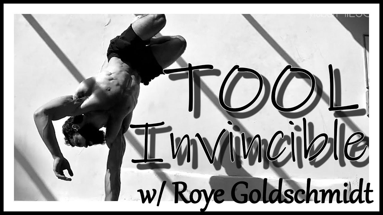 Tool - Invincible - Roye Goldschmidt - Unofficial Video