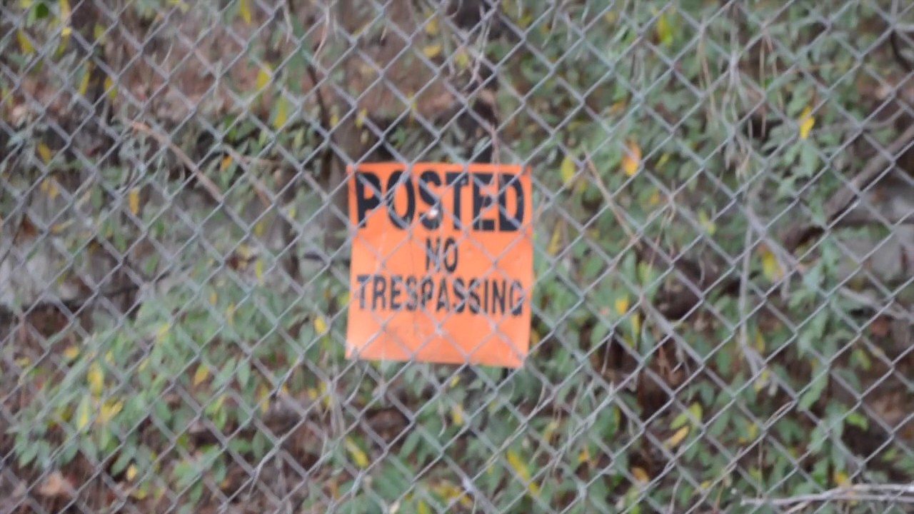 The History of The Dawson Forest